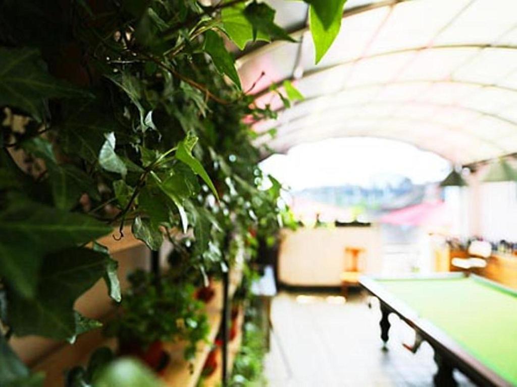 Nanjing Sunflower International Youth Hostel Bagian luar foto